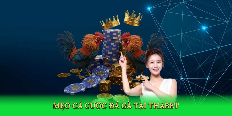 meo-ca-cuoc-da-ga-tai-thabet-4