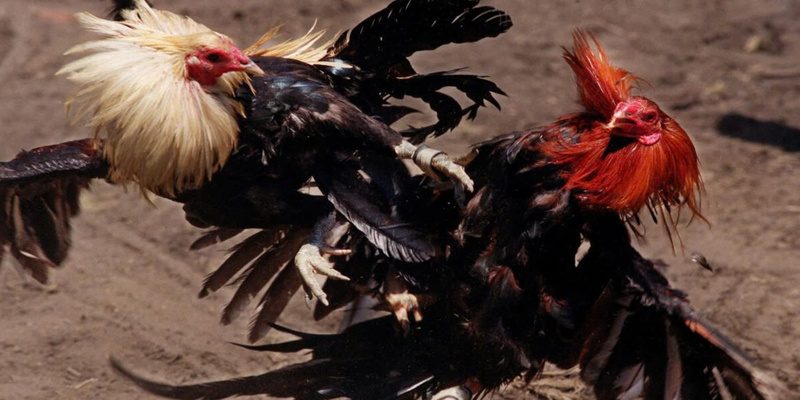 Nhận đủ mọi thông báo