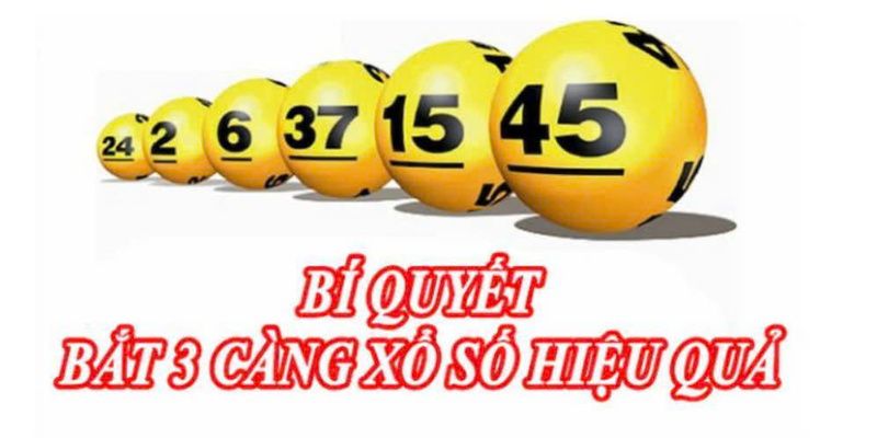 Cược thủ chốt số thành công