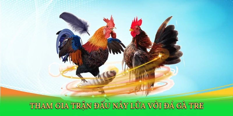 Tham gia trận đấu nảy lửa với đá gà tre